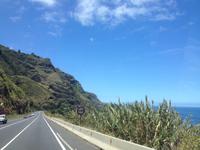 Inselrundfahrt auf Teneriffa (17) &ndash; &copy; Francisco Javier Burgos Gutierrez (Eberhardt TRAVEL)