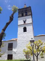 Inselrundfahrt auf Teneriffa (21) &ndash; &copy; Francisco Javier Burgos Gutierrez (Eberhardt TRAVEL)