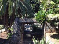 Masca und Garachico (8) &ndash; &copy; Francisco Javier Burgos Gutierrez (Eberhardt TRAVEL)