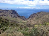 Masca und Garachico (25) &ndash; &copy; Francisco Javier Burgos Gutierrez (Eberhardt TRAVEL)