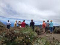 Masca und Garachico (27) &ndash; &copy; Francisco Javier Burgos Gutierrez (Eberhardt TRAVEL)