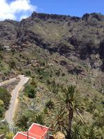 Masca und Garachico (37) &ndash; &copy; Francisco Javier Burgos Gutierrez (Eberhardt TRAVEL)