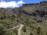 Masca und Garachico (38) &ndash; &copy; Francisco Javier Burgos Gutierrez (Eberhardt TRAVEL)