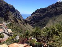 Masca und Garachico (39) &ndash; &copy; Francisco Javier Burgos Gutierrez (Eberhardt TRAVEL)