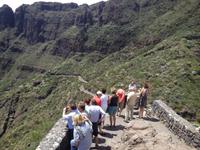 Masca und Garachico (45) &ndash; &copy; Francisco Javier Burgos Gutierrez (Eberhardt TRAVEL)