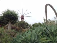 Süden La Palmas (7) &ndash; &copy; Francisco Javier Burgos Gutierrez (Eberhardt TRAVEL)