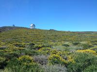 Norden La Palmas - Flug nach Gran Canaria (29) &ndash; &copy; Francisco Javier Burgos Gutierrez (Eberhardt TRAVEL)