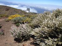 Norden La Palmas - Flug nach Gran Canaria (35) &ndash; &copy; Francisco Javier Burgos Gutierrez (Eberhardt TRAVEL)