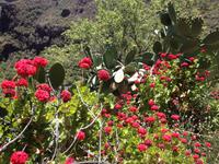 Auf den Spuren der Ureinwohner (48) &ndash; &copy; Francisco Javier Burgos Gutierrez (Eberhardt TRAVEL)