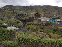 Inselhüpfen auf den Kanaren - 12 Tage Rundreise auf den Kanarische Inseln Teneriffa – La Gomera – La Palma – Gran Canaria (145) &ndash; &copy; Benjamin Rodriguez Manzanares (Eberhardt TRAVEL)