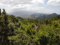 Inselhüpfen auf den Kanaren - 12 Tage Rundreise auf den Kanarische Inseln Teneriffa – La Gomera – La Palma – Gran Canaria (606) &ndash; &copy; Benjamin Rodriguez Manzanares (Eberhardt TRAVEL)