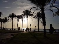 Inselhüpfen auf den Kanaren - 12 Tage Rundreise auf den Kanarische Inseln Teneriffa – La Gomera – La Palma – Gran Canaria (639) &ndash; &copy; Benjamin Rodriguez Manzanares (Eberhardt TRAVEL)