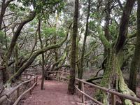 Inselhüpfen auf den Kanaren - 12 Tage Rundreise auf den Kanarische Inseln Teneriffa – La Gomera – La Palma – Gran Canaria (888) &ndash; &copy; Benjamin Rodriguez Manzanares (Eberhardt TRAVEL)