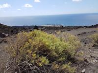 Inselhüpfen auf den Kanaren - 12 Tage Rundreise auf den Kanarische Inseln Teneriffa – La Gomera – La Palma – Gran Canaria (1040) &ndash; &copy; Benjamin Rodriguez Manzanares (Eberhardt TRAVEL)