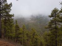 Inselhüpfen auf den Kanaren - 12 Tage Rundreise auf den Kanarische Inseln Teneriffa – La Gomera – La Palma – Gran Canaria (1089) &ndash; &copy; Benjamin Rodriguez Manzanares (Eberhardt TRAVEL)
