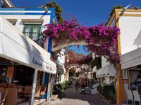 Inselhüpfen auf den Kanaren - 12 Tage Rundreise auf den Kanarische Inseln Teneriffa – La Gomera – La Palma – Gran Canaria (1234) &ndash; &copy; Benjamin Rodriguez Manzanares (Eberhardt TRAVEL)