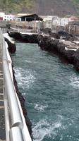 Tenerife - Garachico (12)