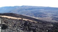 Tenerife - Teide (12) &ndash; &copy; Cornelia Benz (Eberhardt TRAVEL)