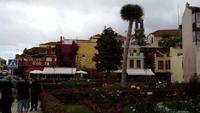 Tenerife - La Orotava (8) &ndash; &copy; Cornelia Benz (Eberhardt TRAVEL)