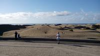 Gran Canaria - Dünen Maspalomas (2) &ndash; &copy; Cornelia Benz (Eberhardt TRAVEL)