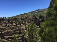 La Palma  &ndash; &copy; Stefanie Glanemann (Eberhardt TRAVEL)
