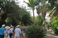 Santa Cruz de Tenerife  &ndash; &copy; Eric Richter (Eberhardt TRAVEL)