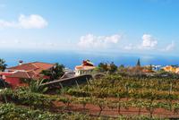 Weinmuseum &ndash; &copy; Eric Richter (Eberhardt TRAVEL)