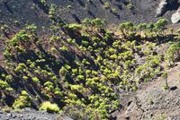 Volcán de San Antonio &ndash; &copy; Eric Richter (Eberhardt TRAVEL)