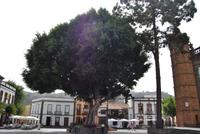 Iglesia de San Gregorio &ndash; &copy; Eric Richter (Eberhardt TRAVEL)
