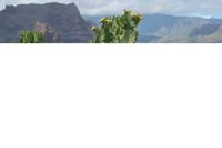 Gran Canaria &ndash; &copy; Eric Richter (Eberhardt TRAVEL)