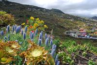 La Palma  &ndash; &copy; Eric Richter (Eberhardt TRAVEL)