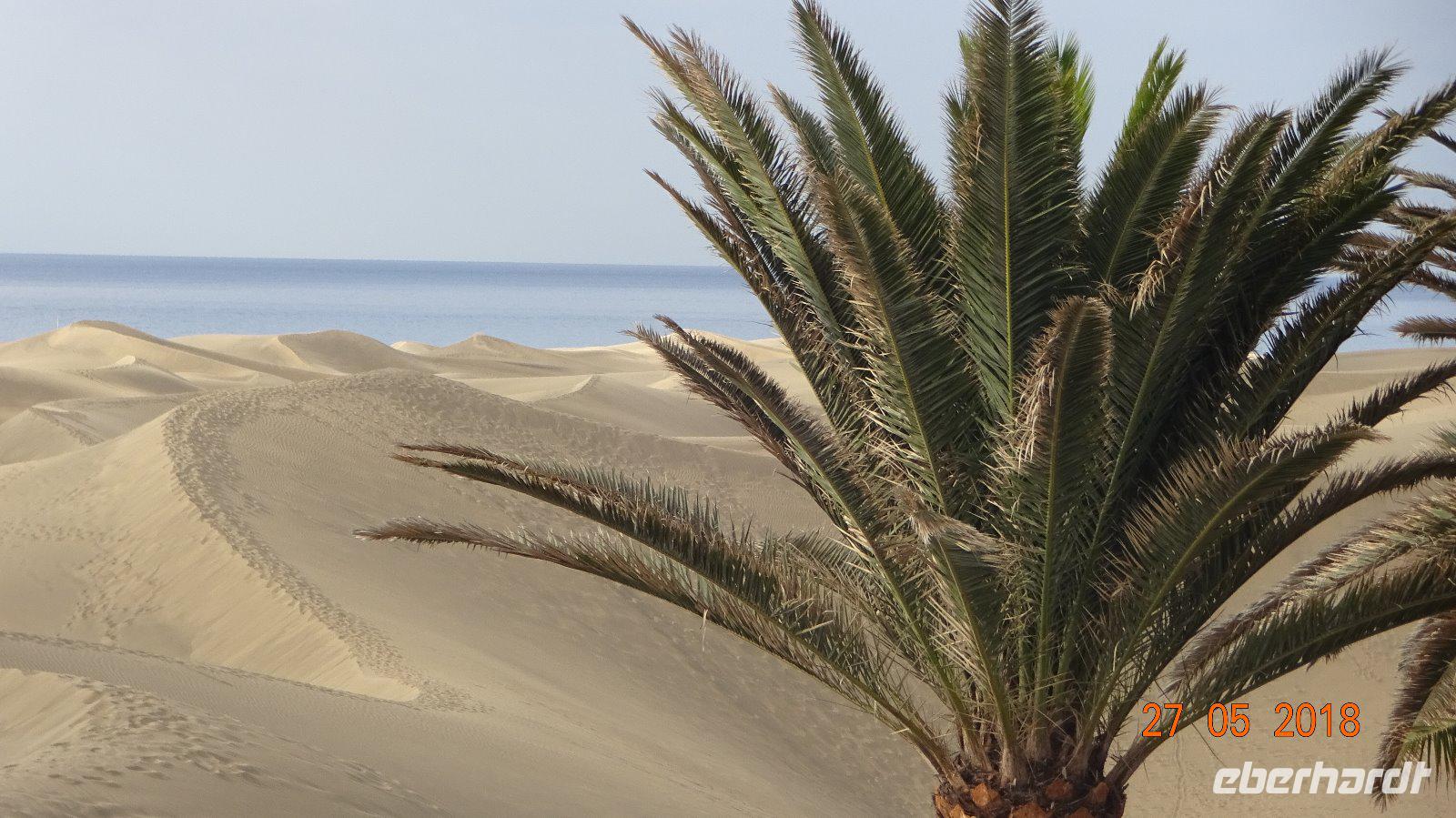 Tag - Gran Canaria - Dünen (2) &ndash; &copy; Nadja Klinkhardt (Eberhardt TRAVEL)