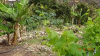 La Gomera - Bauernplantage &ndash; &copy; Nadja Klinkhardt (Eberhardt TRAVEL)