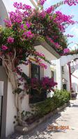 Gran Canaria - Puerto de Mogan &ndash; &copy; Nadja Klinkhardt (Eberhardt TRAVEL)