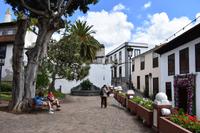 Icod de los Vinos &ndash; &copy; Eric Richter (Eberhardt TRAVEL)