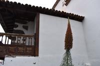 Vilaflor &ndash; &copy; Eric Richter (Eberhardt TRAVEL)