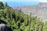 La Gomera &ndash; &copy; Eric Richter (Eberhardt TRAVEL)