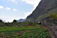 Agulo &ndash; &copy; Eric Richter (Eberhardt TRAVEL)