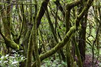 Laguna Grande &ndash; &copy; Eric Richter (Eberhardt TRAVEL)