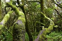 Laguna Grande &ndash; &copy; Eric Richter (Eberhardt TRAVEL)