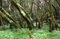 Laguna Grande &ndash; &copy; Eric Richter (Eberhardt TRAVEL)