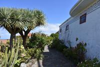 Töpferei La Palma &ndash; &copy; Eric Richter (Eberhardt TRAVEL)