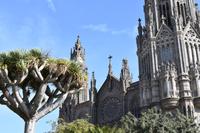 Arucas &ndash; &copy; Eric Richter (Eberhardt TRAVEL)