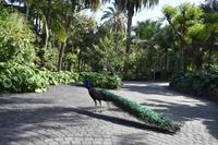 Garten der Gräfin &ndash; &copy; Eric Richter (Eberhardt TRAVEL)