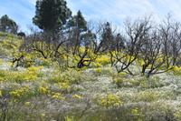 Degollada Becerra  &ndash; &copy; Eric Richter (Eberhardt TRAVEL)