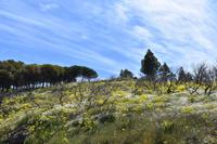Degollada Becerra  &ndash; &copy; Eric Richter (Eberhardt TRAVEL)