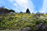 Degollada Becerra  &ndash; &copy; Eric Richter (Eberhardt TRAVEL)