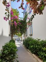 Blumenbracht in Puerto de Mogán &ndash; &copy; Carina Schmidt (Eberhardt TRAVEL)