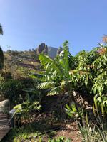 El Correlete &ndash; &copy; Sabine C. Seifert (Eberhardt TRAVEL)