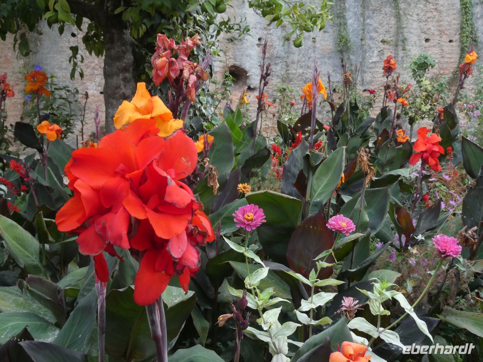 Blumen überall &ndash; &copy; Gina Egenolf (Eberhardt TRAVEL)